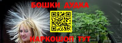 индика Тверь