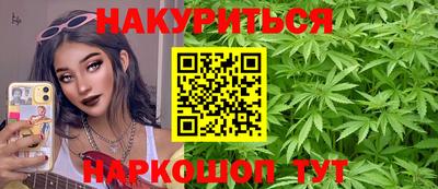 индика Тверь