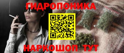 индика Тверь