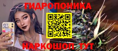 индика Тверь