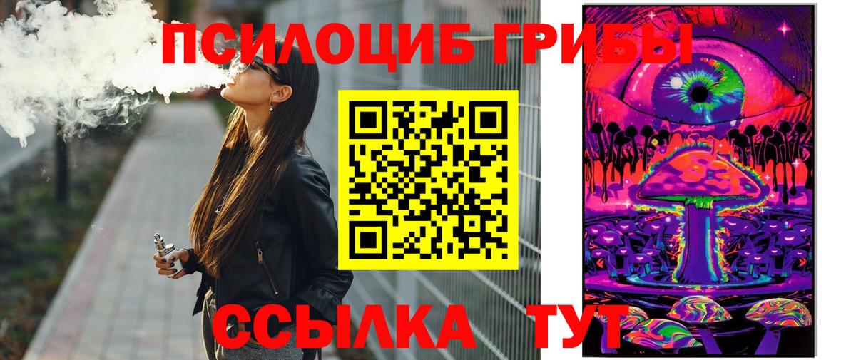 Псилоцибиновые грибы Psilocybe  Вход с VPN  Псилоцибиновые грибы Psilocybe  Борзя 