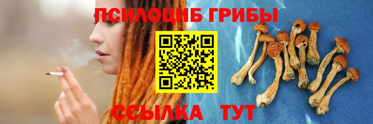 Галлюциногенные грибы ЛСД Борзя